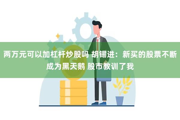 两万元可以加杠杆炒股吗 胡锡进：新买的股票不断成为黑天鹅 股市教训了我