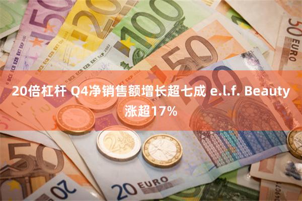 20倍杠杆 Q4净销售额增长超七成 e.l.f. Beauty涨超17%