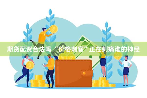 期货配资合法吗 “价格刺客”正在刺痛谁的神经