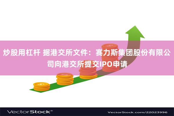 炒股用杠杆 据港交所文件：赛力斯集团股份有限公司向港交所提交IPO申请