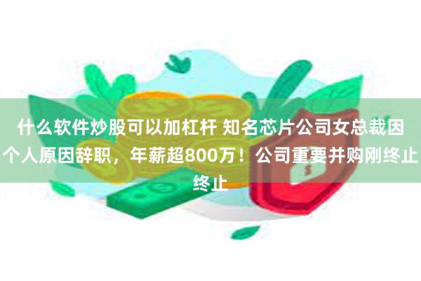 什么软件炒股可以加杠杆 知名芯片公司女总裁因个人原因辞职，年薪超800万！公司重要并购刚终止