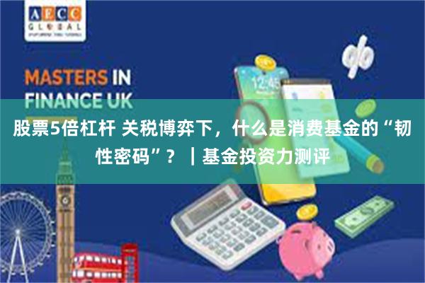 股票5倍杠杆 关税博弈下，什么是消费基金的“韧性密码”？｜基金投资力测评