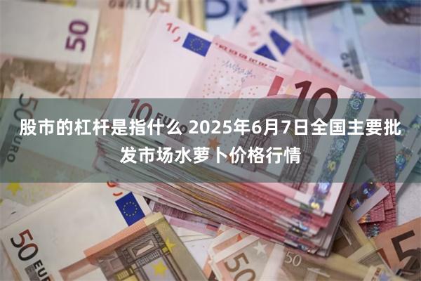 股市的杠杆是指什么 2025年6月7日全国主要批发市场水萝卜价格行情