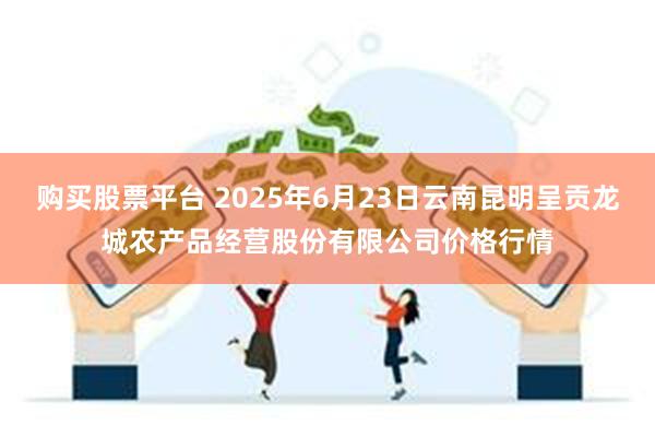 购买股票平台 2025年6月23日云南昆明呈贡龙城农产品经营股份有限公司价格行情