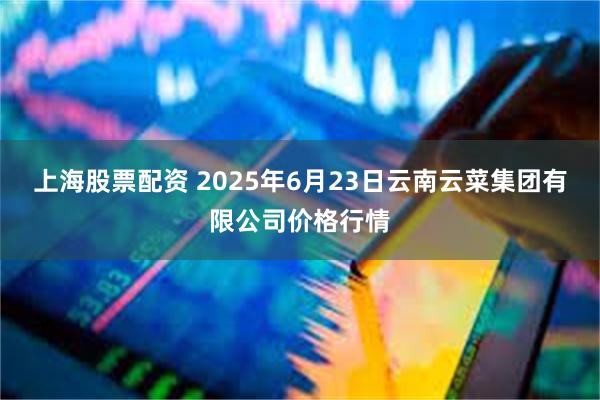 上海股票配资 2025年6月23日云南云菜集团有限公司价格行情